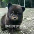 打回原形