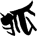 noing0507