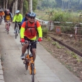 tony lau 3811