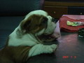 momit126