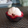 尼小花9004