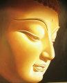 Buddha01