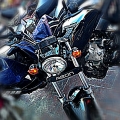 sheik929