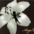 digiface
