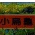 烏龜路上爬