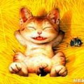 唐寶貝