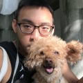 丹尼獅