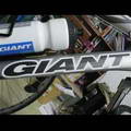 gtom06