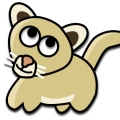 CatMust