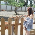 ssaann165
