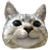 alienbox