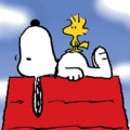 snoopy94