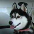 michael3988