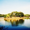 雷蒙李