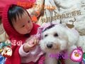 范小雲