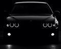 shady0524