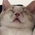 WumaWwn