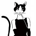 Hepburn cat