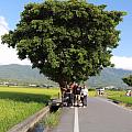 悠天悠