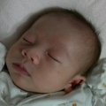 Alanis.liang