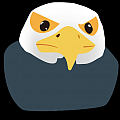trader condor