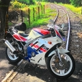 hongmona66