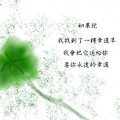 hao~