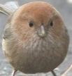 私心