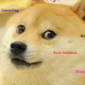 多多QAQ