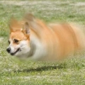 XCXSX