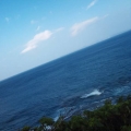 halfocean