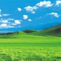頂樓風景