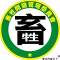 羅裸奔