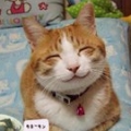 黑暗狂嘯