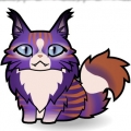 cat8899