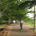 inin0729