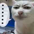 白呆鵝695