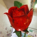 FlowerL