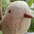 阿呆妙