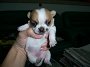 gavin0791