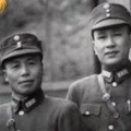 桂系李白