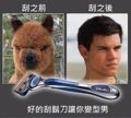 離夢想越來越近