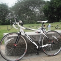 lalayer2000