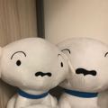 菲啡飛