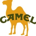 camels