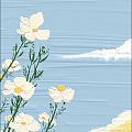 zz花小貓zz