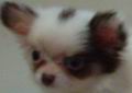 kiki2008