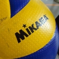 williedvd