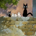 mikomiko