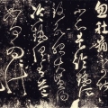 LYC79